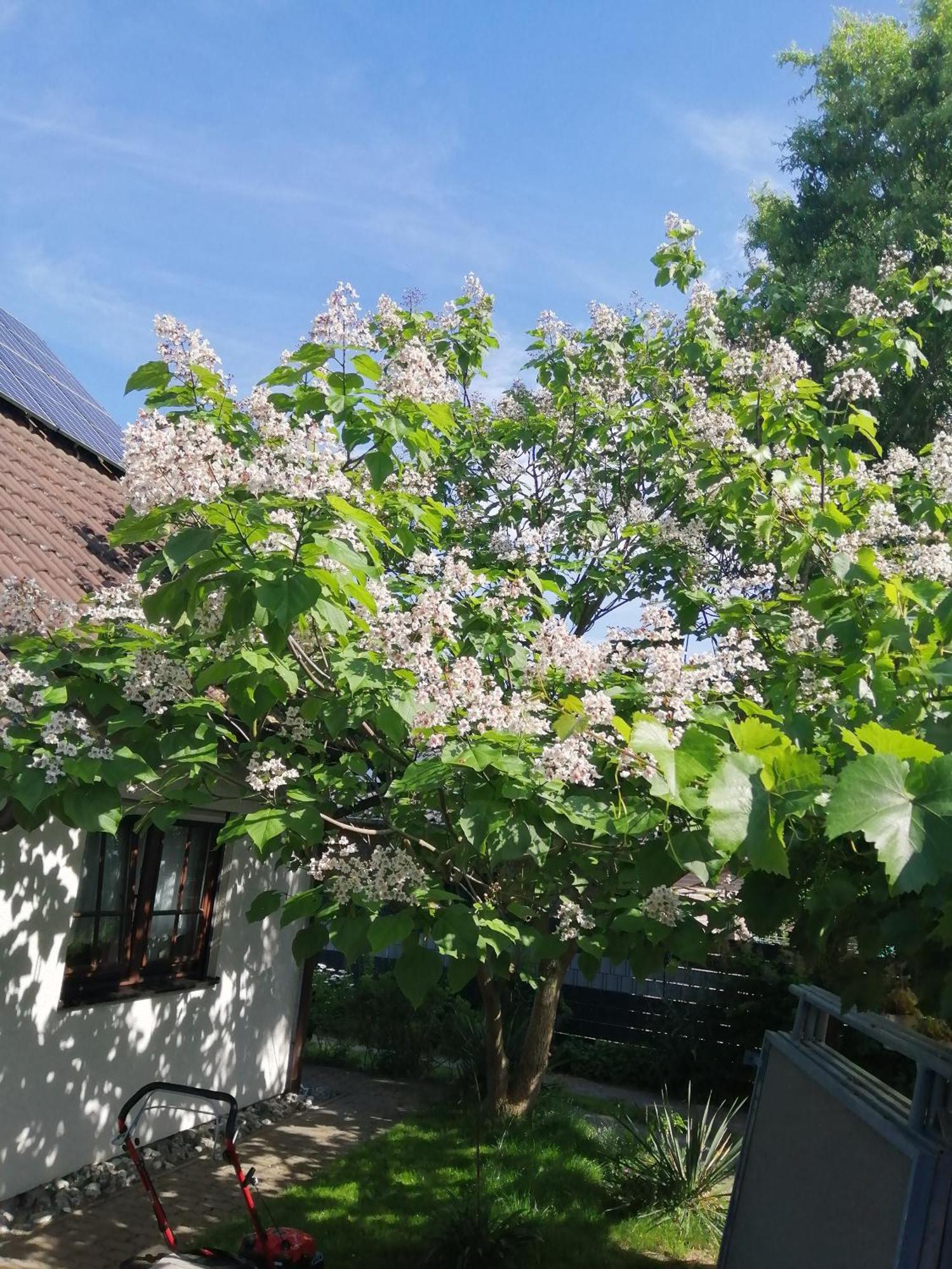 Appartamento "Kleine Hedwig" Putbus Esterno foto